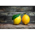 choix entre 2 formats de savons liquides bio citron