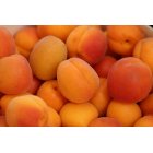 Huile d'abricot certifié bio 50ml